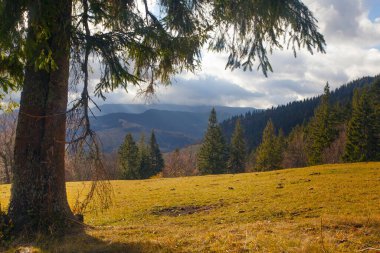 Sonbaharda Karpatlar, sonbaharda sabah manzarası, Ukrayna