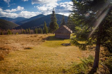 Sonbaharda Karpatlar, sonbaharda sabah manzarası, Ukrayna