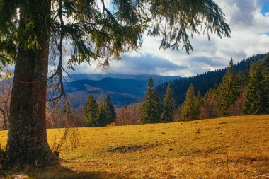 Sonbaharda Karpatlar, sonbaharda sabah manzarası, Ukrayna