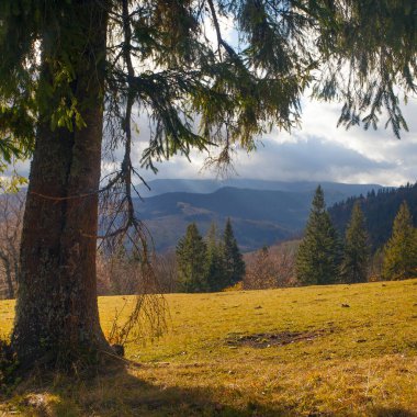 Sonbaharda Karpatlar, sonbaharda sabah manzarası, Ukrayna