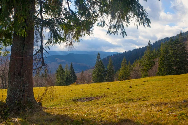 Karpaten Bergen Herfst Ochtend Uitzicht Oekraïne — Stockfoto