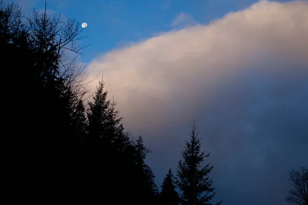 Der Mond Himmel Über Dem Wald Den Karpaten — Stockfoto
