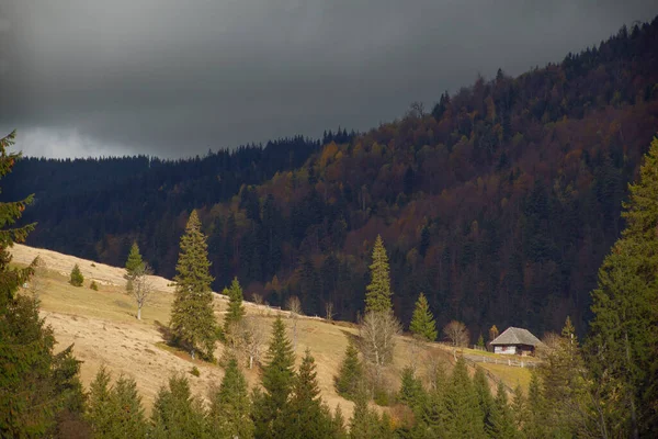 Karpaterna Berg Höst Morgonutsikt Ukraina — Stockfoto
