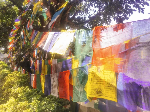 Bunte Buddhistische Gebetsfahnen Kathmandu Nepal — Stockfoto