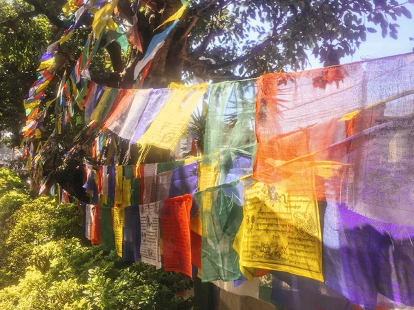 Bandeiras Oração Budistas Coloridas Kathmandu Nepal — Fotografia de Stock