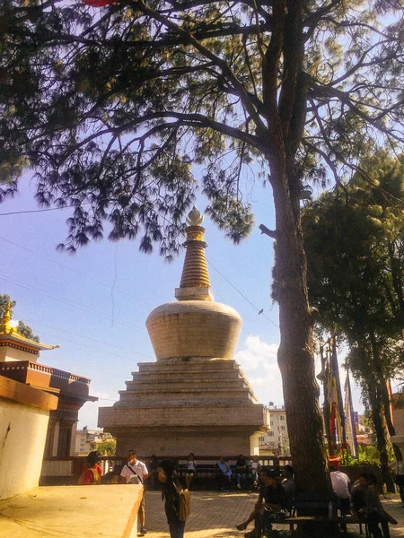 Templo Parque Buddha Katmandú Alrededor Del Templo Monkey —  Fotos de Stock