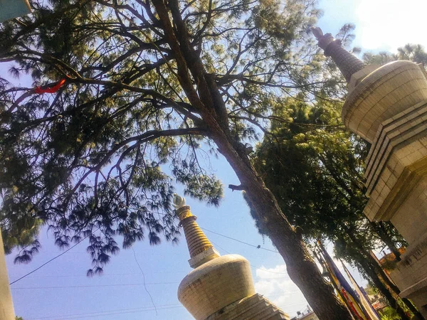 Temple Dans Parc Bouddha Katmandou Autour Temple Singe — Photo