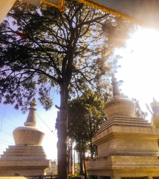 Tempel Boeddha Park Kathmandu Rond Apentempel — Stockfoto