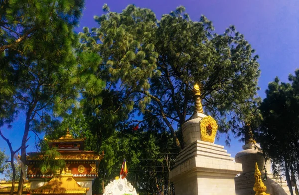 Tempel Buddha Park Katmandu Runt Apa Templet — Stockfoto