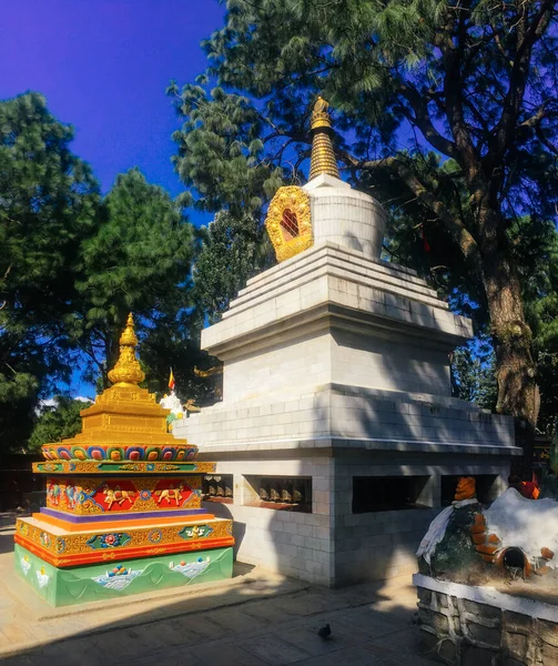 Tempel Buddha Park Katmandu Runt Apa Templet — Stockfoto