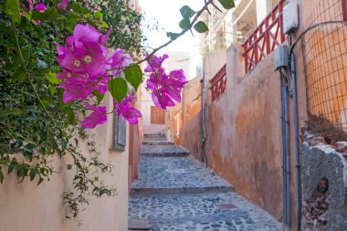 Yunanistan 'ın Santorini Adası' ndaki ünlü beyaz şehrin güzel caddeleri