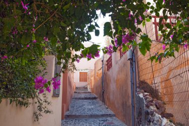 Yunanistan 'ın Santorini Adası' ndaki ünlü beyaz şehrin güzel caddeleri