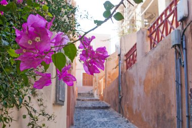 Yunanistan 'ın Santorini Adası' ndaki ünlü beyaz şehrin güzel caddeleri