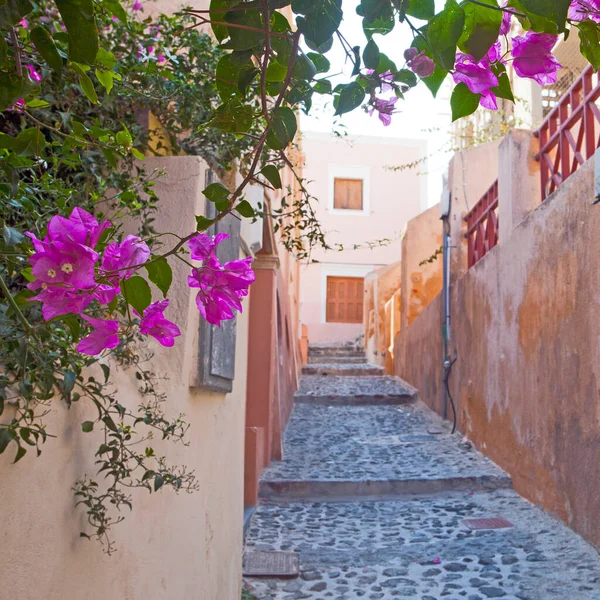 Yunanistan Santorini Adası Ndaki Ünlü Beyaz Şehrin Güzel Caddeleri — Stok fotoğraf