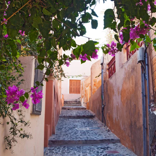 Yunanistan Santorini Adası Ndaki Ünlü Beyaz Şehrin Güzel Caddeleri — Stok fotoğraf