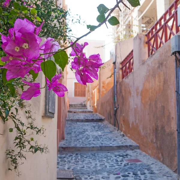 Yunanistan Santorini Adası Ndaki Ünlü Beyaz Şehrin Güzel Caddeleri — Stok fotoğraf