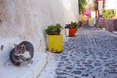 Yunanistan 'ın Santorini Adası' ndaki ünlü beyaz şehrin güzel caddeleri