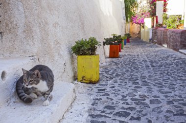Yunanistan 'ın Santorini Adası' ndaki ünlü beyaz şehrin güzel caddeleri