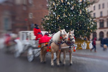 St. Mary Bazilikası yakınlarındaki at arabaları ve Polonya 'daki Krakow pazar meydanındaki Noel ağacı..