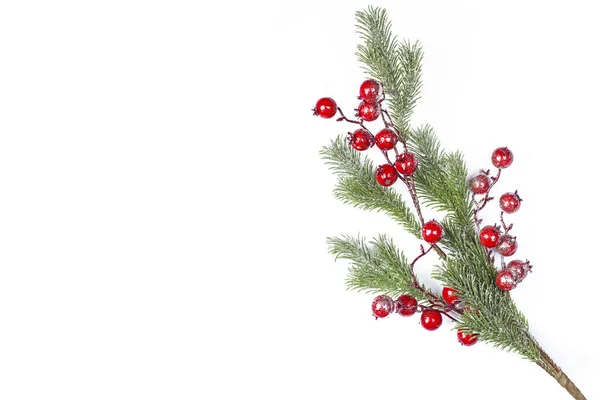 Beautiful Christmas Twig Holly Berries Isolated — Stockfoto