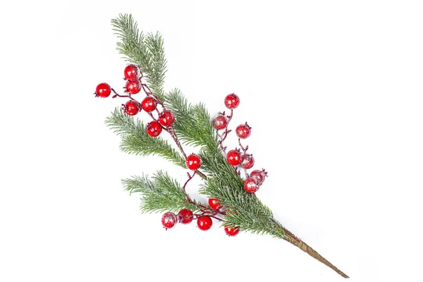 Beautiful Christmas Twig Holly Berries Isolated — Stock Photo, Image