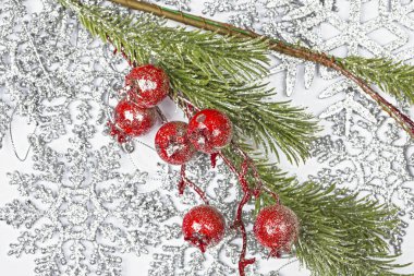 Gümüş kar tanelerinin arka planında çobanpüskülü meyveli Twiter.