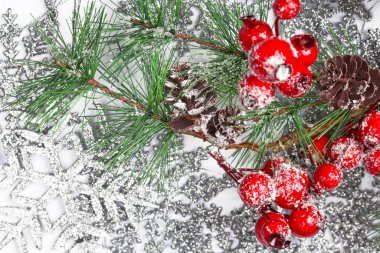 Gümüş kar tanelerinin arka planında çobanpüskülü meyveli Twiter.