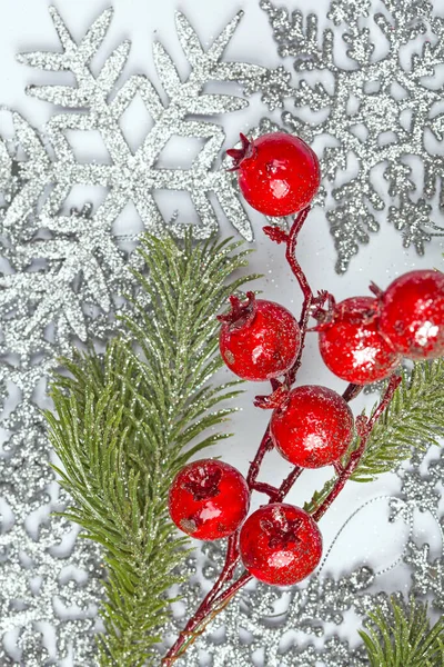 Twiter Holly Berries Silver Snowflakes Background — Stockfoto