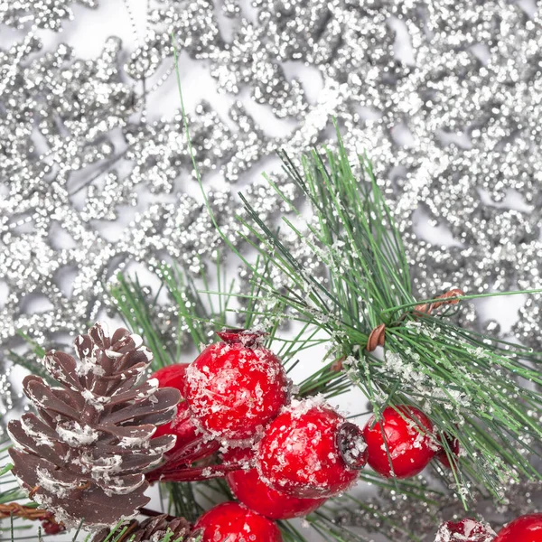 在银白色雪花背景上挂着冬青浆果的博客作者 — 图库照片