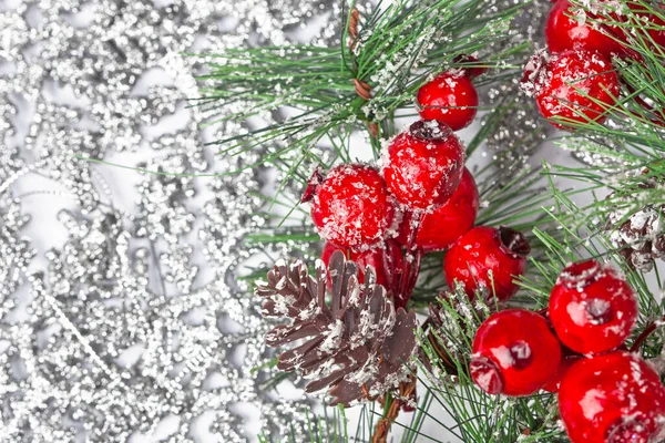 Twiter Met Hulst Bessen Zilveren Sneeuwvlokken Achtergrond — Stockfoto