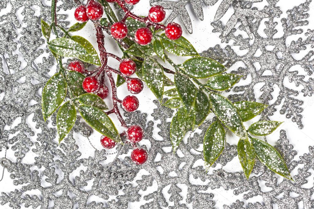 Twiter with holly berries on the silver snowflakes background