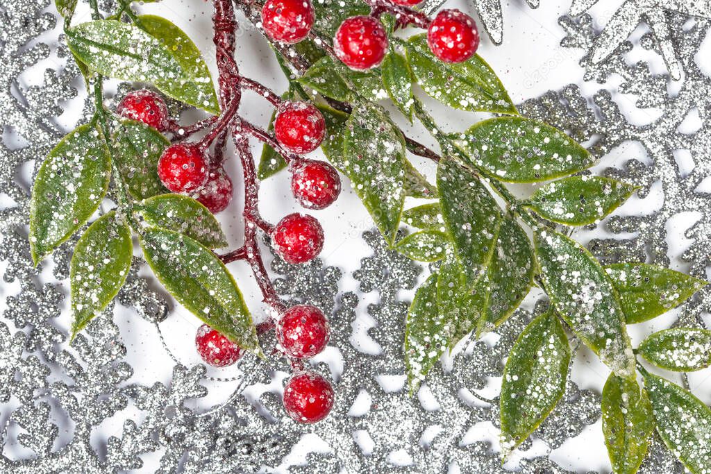 Twiter with holly berries on the silver snowflakes background
