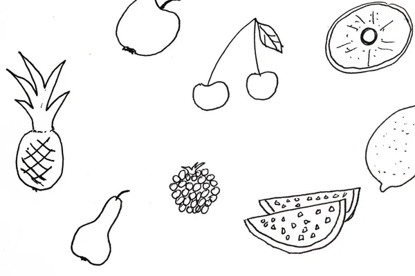 さまざまな果物のペンのグラフィック図面の多くは 白の黒 — ストック写真