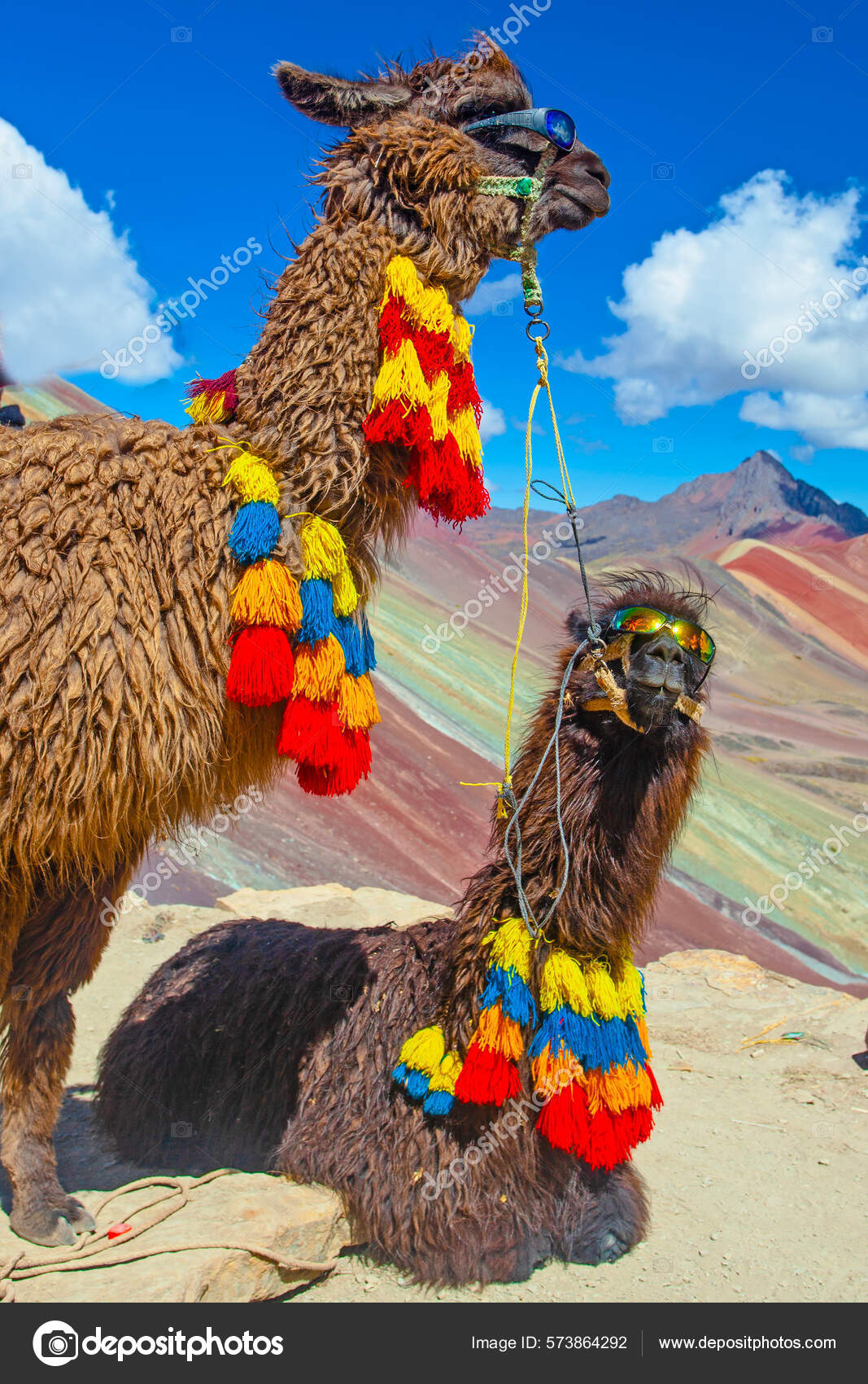 Alpaca mountain outlet