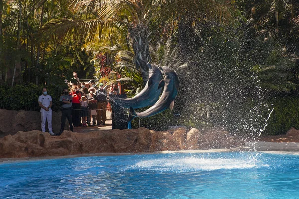 Puerto Cruz テネリフェ島 スペイン 2022年2月25日 2022年7月5日にスペインのロロ公園 パーク でイルカとの水のショー ヨーロッパで最も有名な遊園地の一つ ロロ公園 — ストック写真