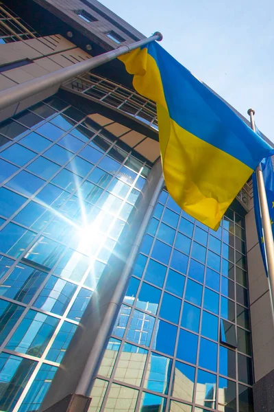 Brüksel, Belçika - 4 Haziran 2022: Ukrayna ve Avrupa bayraklı Avrupa Parlamentosu ofislerinin dışı.