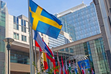 Brüksel, Belçika - 4 Haziran 2022: Avrupa Parlamentosu bayrakları.