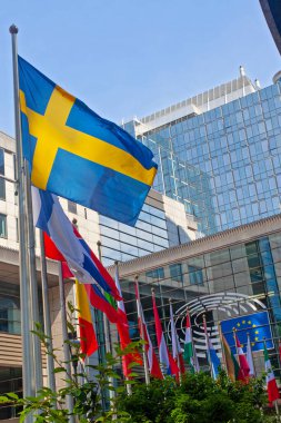 Brüksel, Belçika - 4 Haziran 2022: Avrupa Parlamentosu bayrakları.