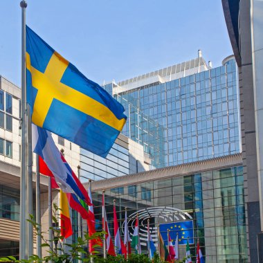 Brüksel, Belçika - 4 Haziran 2022: Avrupa Parlamentosu bayrakları.