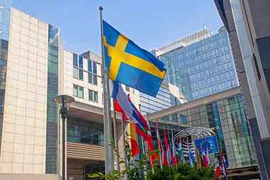 Brüksel, Belçika - 4 Haziran 2022: Avrupa Parlamentosu bayrakları.