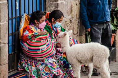Peru - 15 Mayıs 2022: Cuzco 'da geleneksel giyinmiş Perulu insanlar. 15 Mayıs 2022 'de Cusco, Peru' da, Lama 'nın yanındaki kadın.