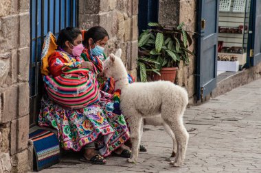 Peru - 15 Mayıs 2022: Cuzco 'da geleneksel giyinmiş Perulu insanlar. 15 Mayıs 2022 'de Cusco, Peru' da, Lama 'nın yanındaki kadın.