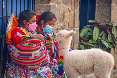 Peru - 15 Mayıs 2022: Cuzco 'da geleneksel giyinmiş Perulu insanlar. 15 Mayıs 2022 'de Cusco, Peru' da, Lama 'nın yanındaki kadın.