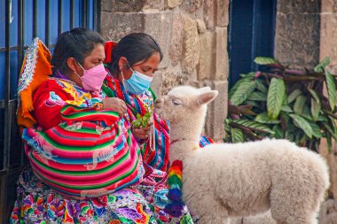 Peru - 15 Mayıs 2022: Cuzco 'da geleneksel giyinmiş Perulu insanlar. 15 Mayıs 2022 'de Cusco, Peru' da, Lama 'nın yanındaki kadın.