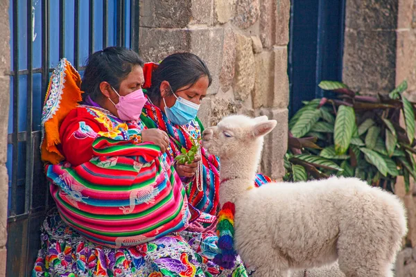 ペルー 2022年5月15日 ペルーの人々は クスコの伝統的な服を着ています 2022年5月15日ペルーのクスコの路上でラマと女性 — ストック写真