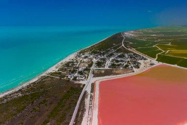 Pembe göller ve okyanus, Las Coloradas, Meksika 'da doğa.
