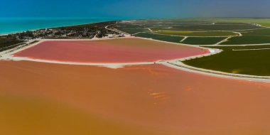 Pembe göller ve okyanus, Las Coloradas, Meksika 'da doğa.