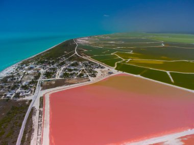 Pembe göller ve okyanus, Las Coloradas, Meksika 'da doğa.