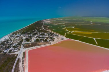 Pembe göller ve okyanus, Las Coloradas, Meksika 'da doğa.