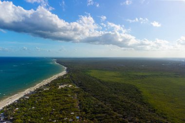 Tulum muhteşem orman ormanı ve Karayip deniz manzarası, insansız hava aracı, Meksika
